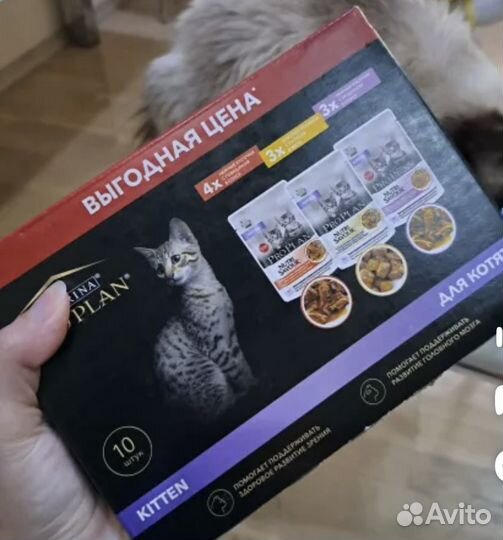 Корм влажный для котят Proplan