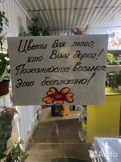 Роза, тюльпаны, лилий, хризантемы и многое др-ое