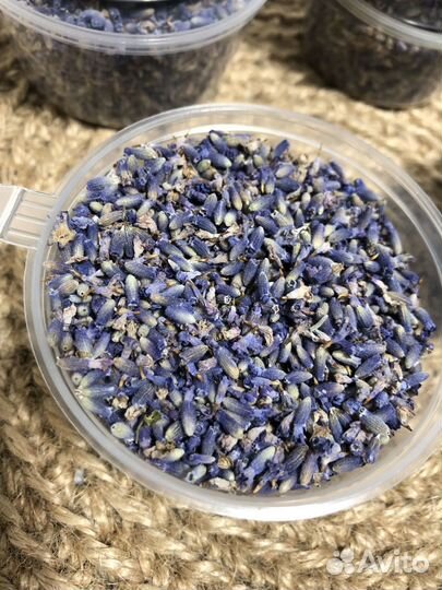 Лаванда россыпь