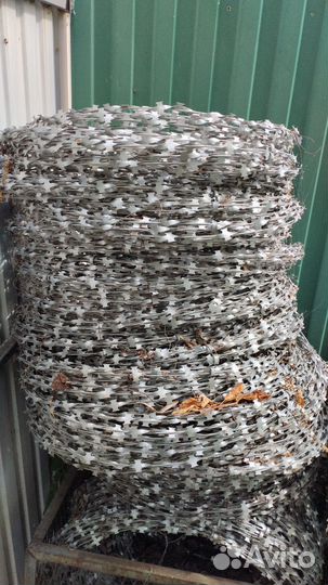 Егоза,колючая проволока