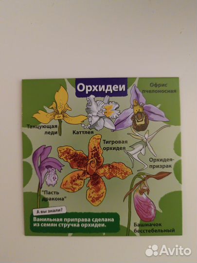 Настольная игра для изучения слов на английском