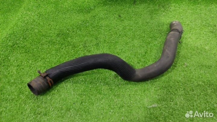 Патрубок Renault Megane 3 хэтчбек 1.5 K9K830