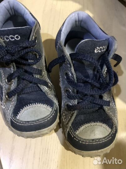 Ботинки ecco 22