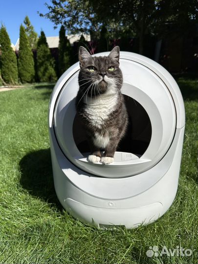 Автоматический лоток для кошек