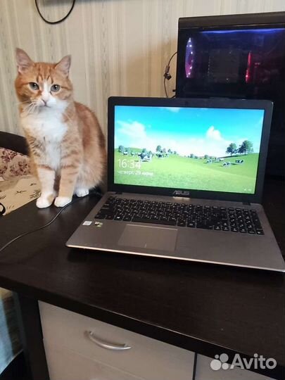 Ноутбук asus k550v