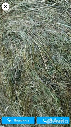 Сено солома