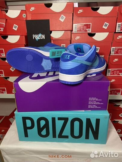 Nike sb dunk low blue raspberry оригинал