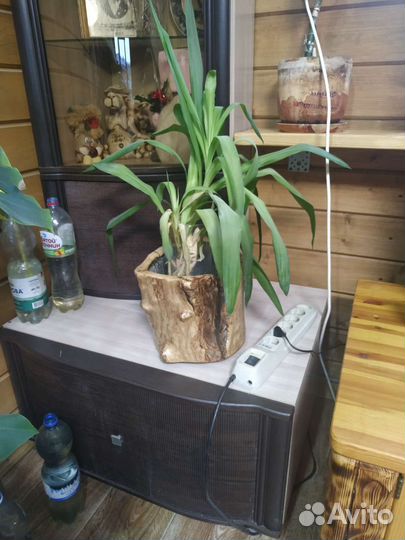 Горшок для цветов. Ручная работа