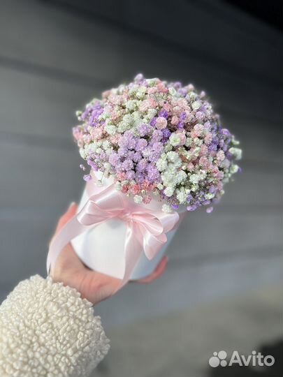 Гипсофила Ярославль доставка