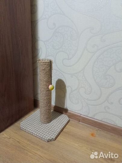 Когтеточка для кошек