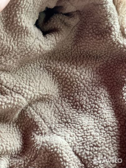 Одежда для мини йорка