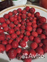 Боярышник плоды