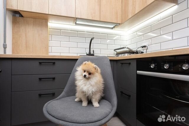 Кухня на заказ