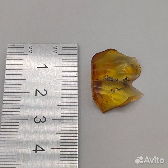 Инклюз - Оса / Окаменелости