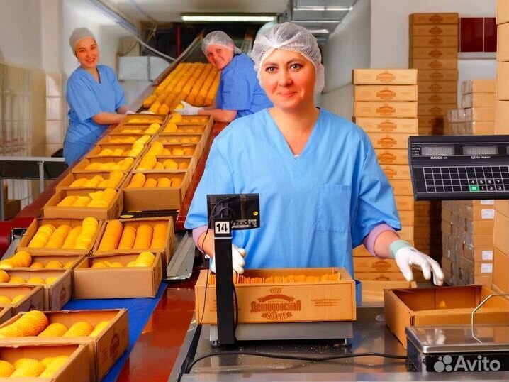 Вахта Упаковщик 15 смен без опыта. Арт.В236