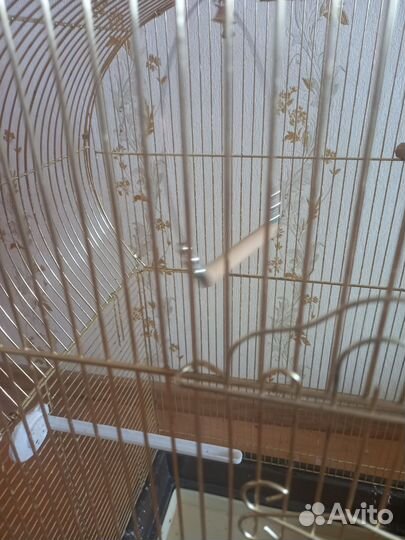 Клетка для попугая большая