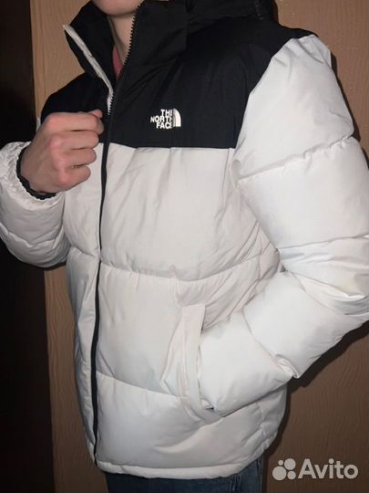 Зимний пуховик TNF