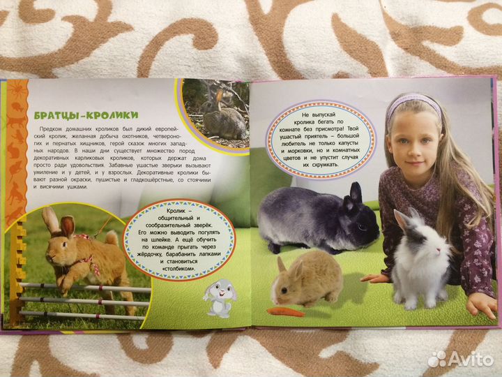 Книга Домашние животные. Самая первая энциклопедия