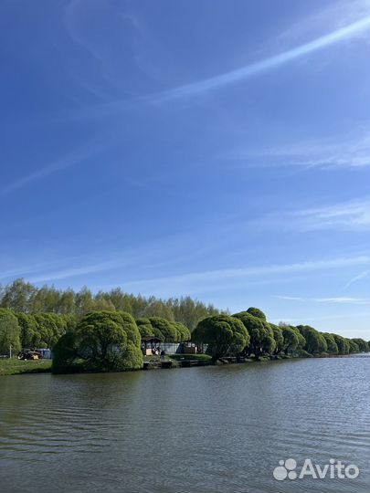 Рыбалка ярославское шоссе