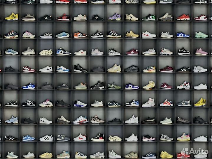 Nike Adidas New Balance Vans Converse