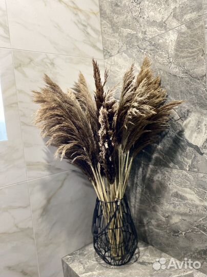 Сухоцветы для декора