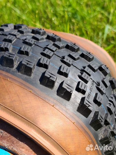 Покрышки для велосипеда 29, Schwalbe Wicked Will