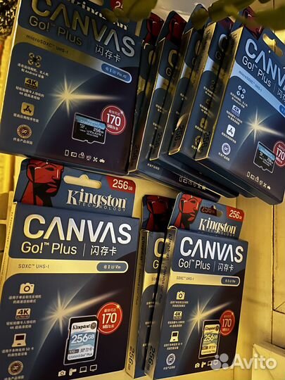 Карта памяти Kingston Canvas Go Plus 256Gb