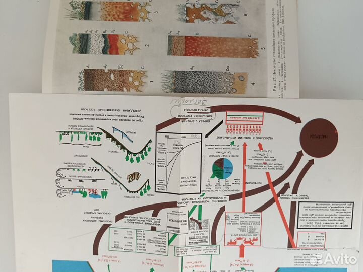Биосфера и место в ней человека П. Дювиньо, Танг