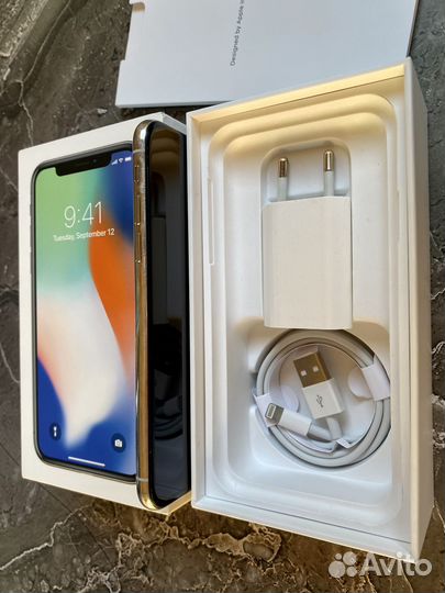 iPhone X, 256 ГБ