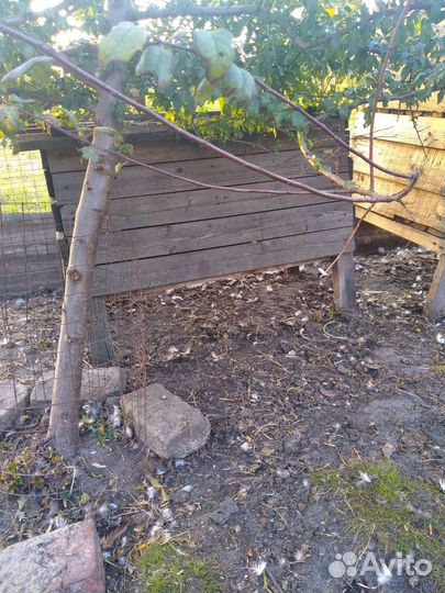 Клетки для кроликов бу