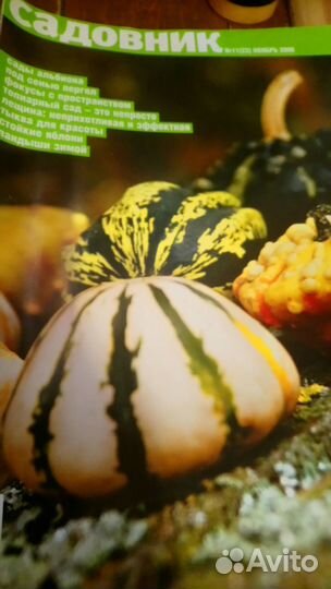 Журнал Мой прекрасный сад, Садовник