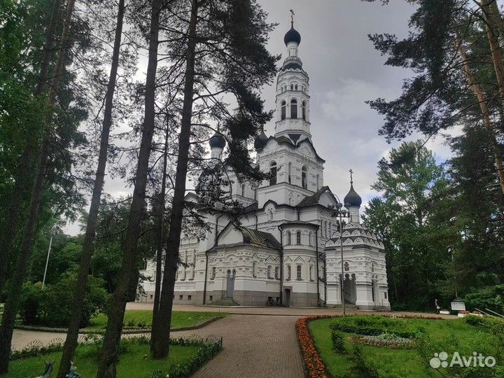 Санкт-Петербург Топ-Экскурсия Знакомьтесь, Зеленог