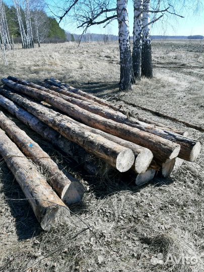 Столбы для забора сосна