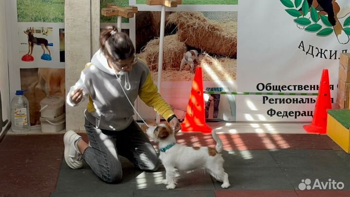 Услуги хендлера