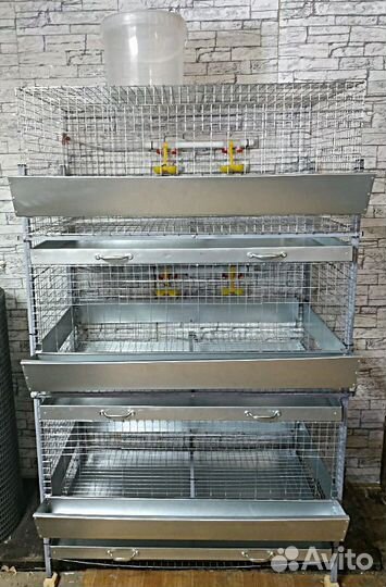 Клетка для бройлеров