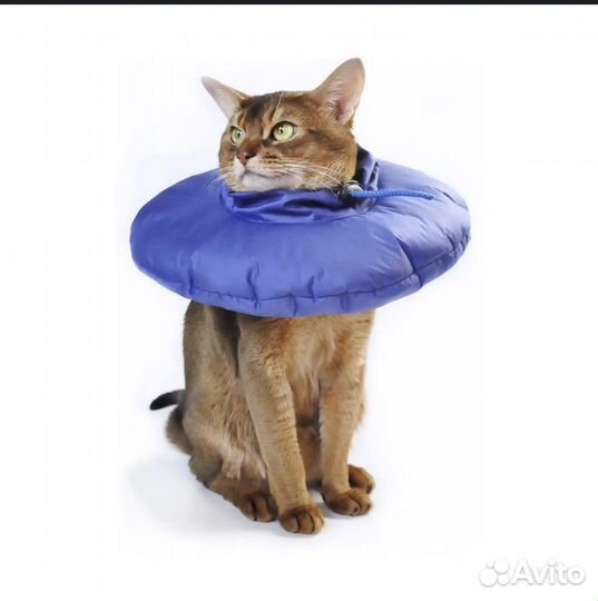 Воротник-подушка для кошек