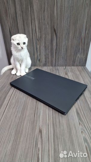 Asus с oled экраном