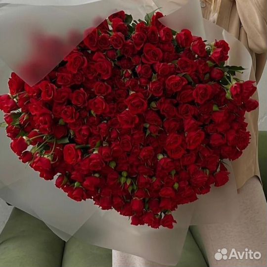 Букет их 75 красных кустовых роз
