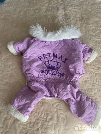 Одежда для любимого питомца, мешком