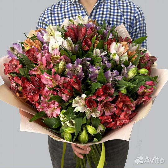 Альстромерия микс 35 шт