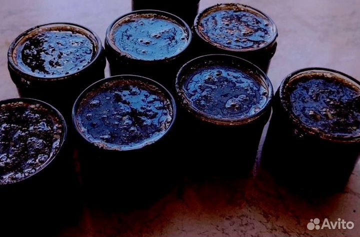 Медовое средство для мужского здоровья