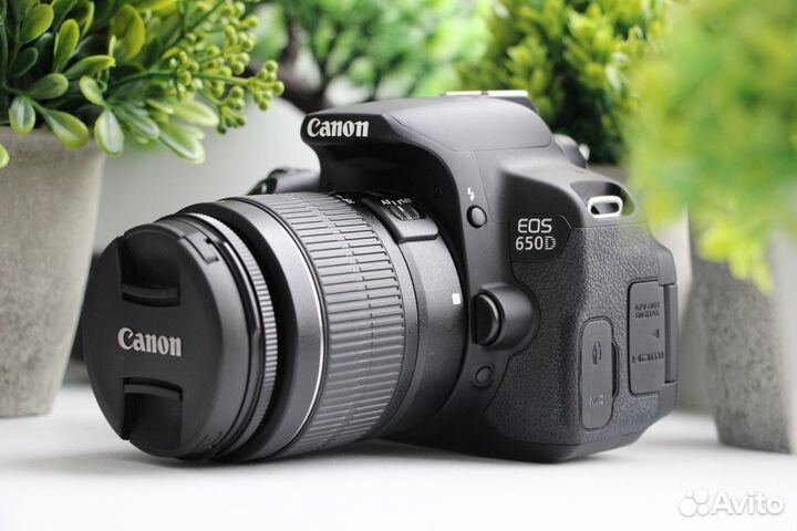 Canon 650d + 18-55mm идеал