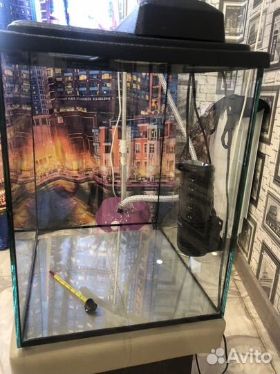 Террариум для рыб