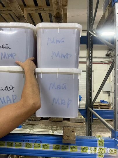 Свежий мёд цветочный опт