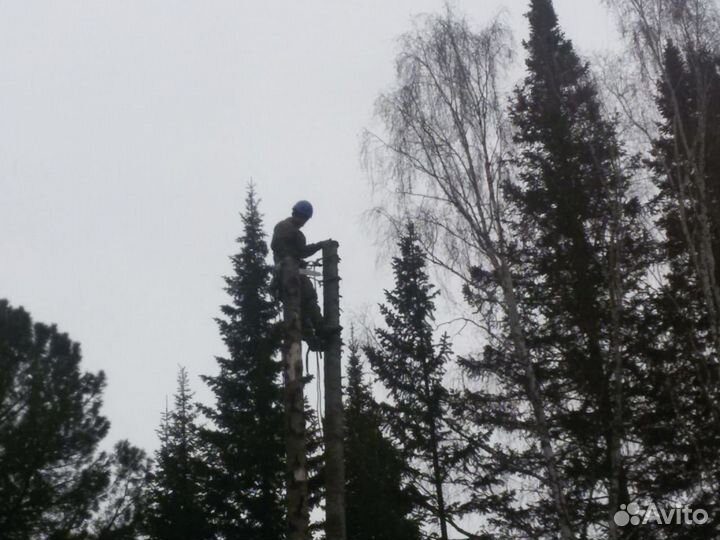 Спил деревьев любой сложности, по всей области