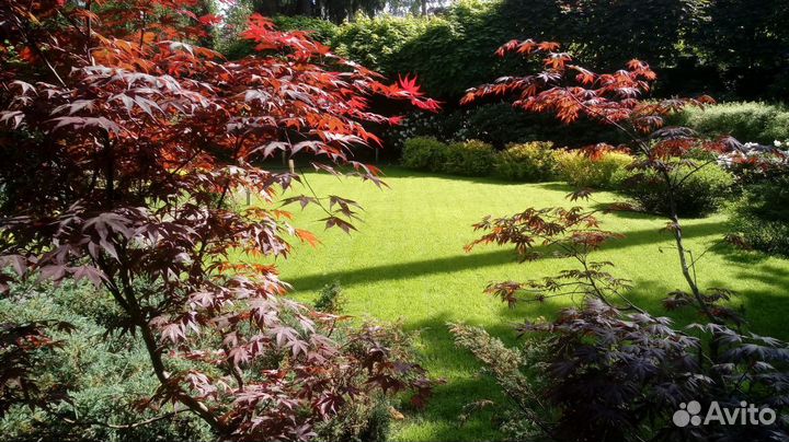 Садовник,агроном,биолог. Специалист по растениям