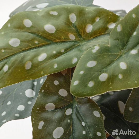 Бегония, искусственный цветок икеа