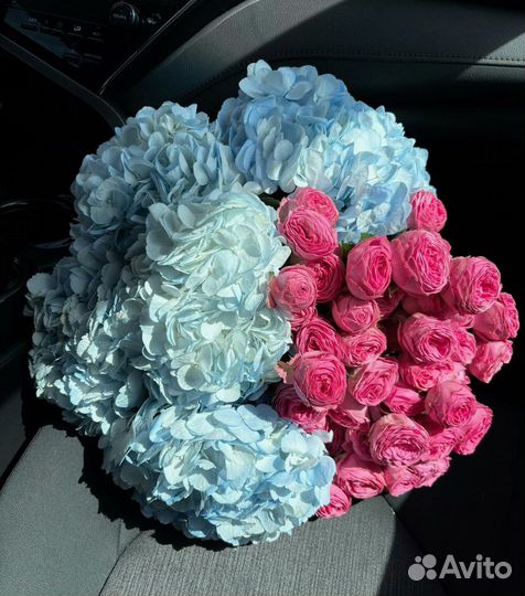 Гортензии на 8 марта