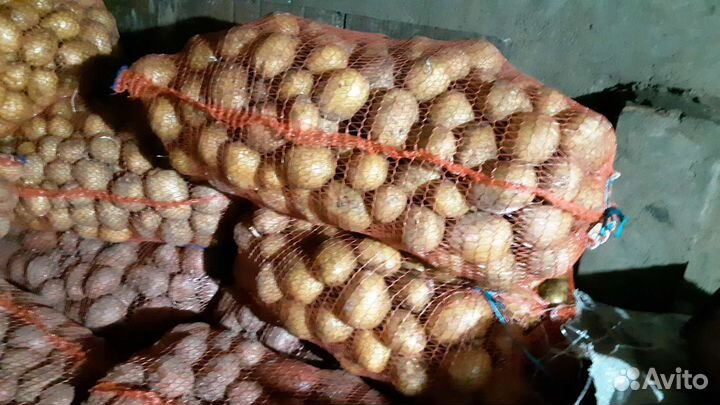 Продам картофель,морковь доставка