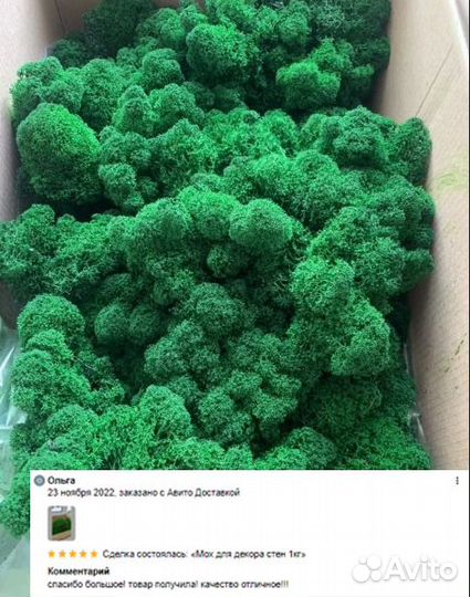 Стабилизированный ягель для стен и кашпо